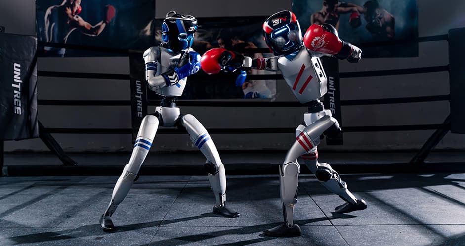 Unitree G1-Boxing